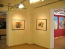 Ausstellung von German Pizzinini